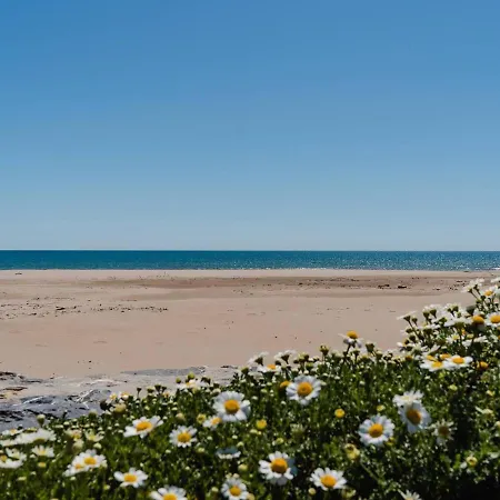 T2 A Narbonne-plage - 30m De La Plage, Balcon, 4 Couchages, Parking Gratuit - Fr-1-409a-27 Нарбонна